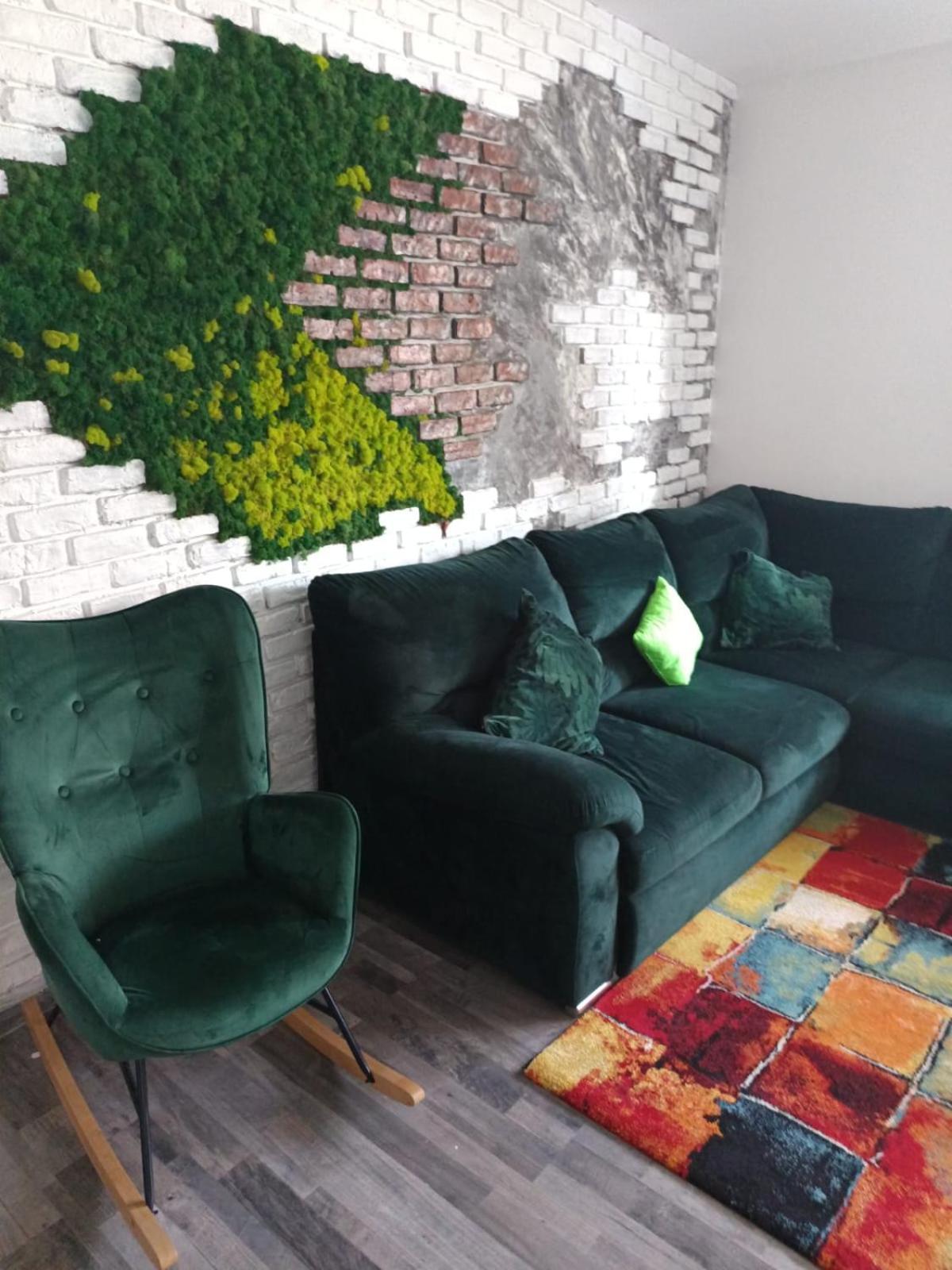 Apartament Regim Hotelier Elis 布拉索夫 外观 照片